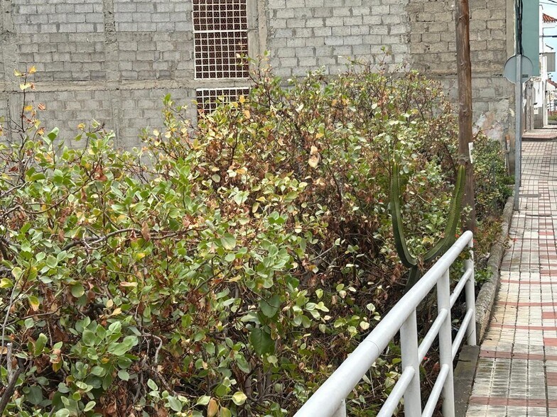 Calle Cieguita de Lugarejo, 11, Las Palmas de Gran Canaria, Las Palmas à vendre - Photo de l’immeuble – Image 3 sur 12