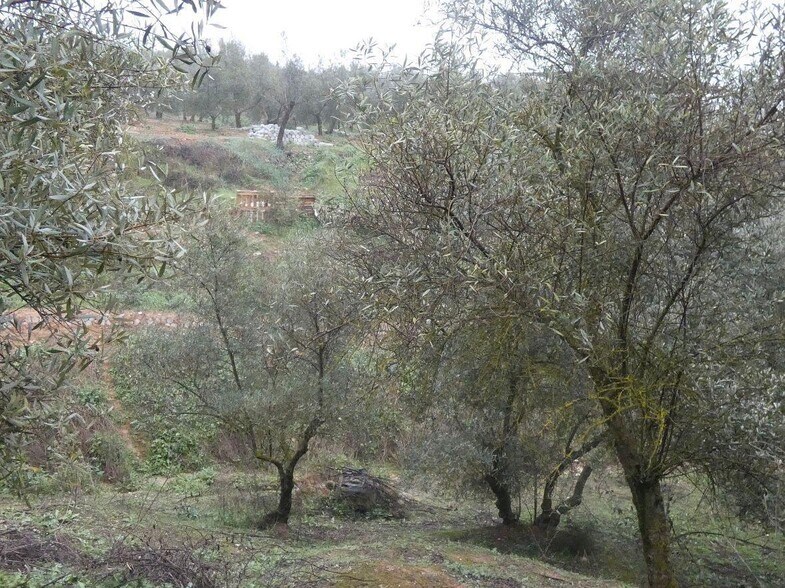 Terrain dans Peligros, Granada à vendre - Photo de l’immeuble – Image 2 sur 28
