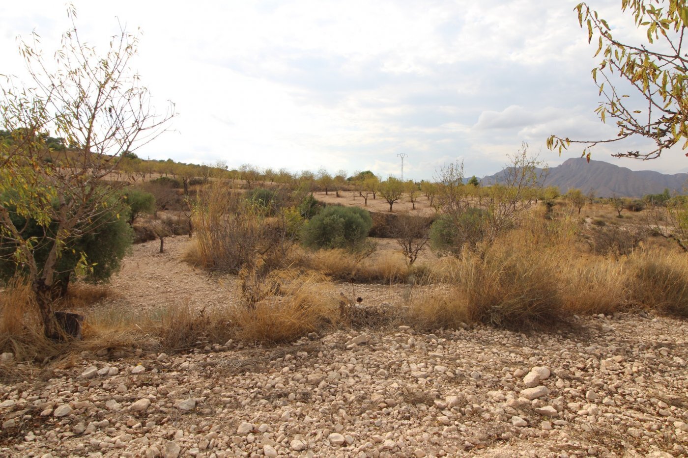 Terrain dans Hondón de los Frailes, Alicante à vendre Plan de site– Image 1 sur 3