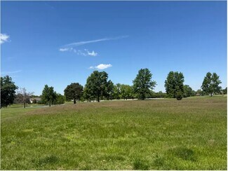 Plus de détails pour 00 E Stone Creek Dr, Makanda, IL - Terrain à vendre