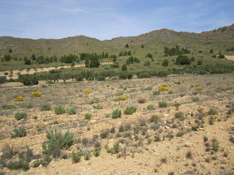 Terrain dans MURCIA à vendre - Photo principale – Image 2 sur 4