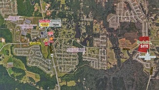 Plus de détails pour 13556 Highway 69 N, Northport, AL - Local commercial à louer