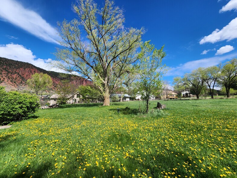 102 County Road 156, Glenwood Springs, CO à vendre - Autre – Image 2 sur 11
