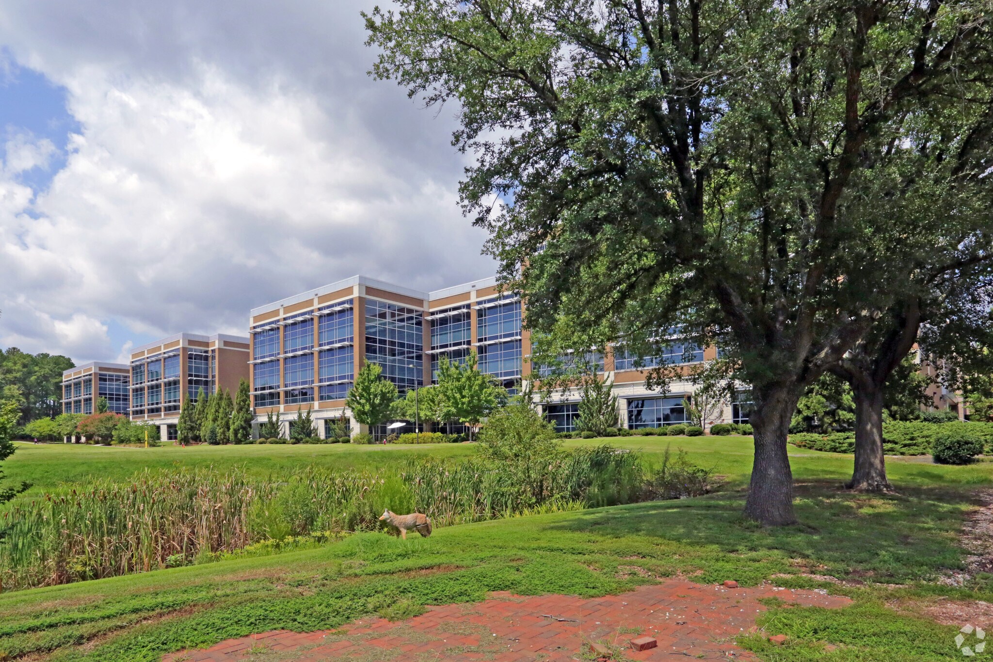 3040 Cornwallis Rd, Research Triangle Park, NC à louer Photo de l’immeuble– Image 1 sur 53