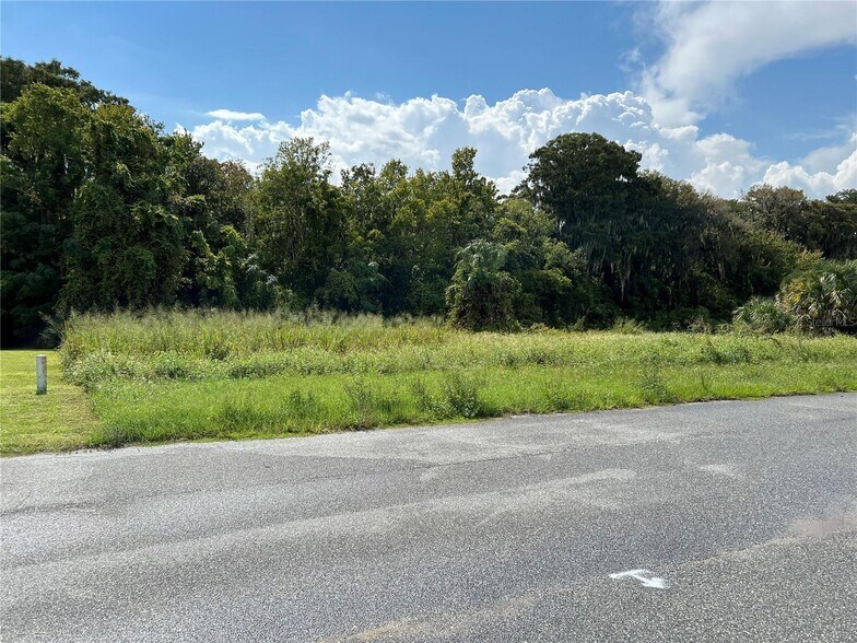 Redtree Dr, Leesburg, FL à vendre - Autre – Image 2 sur 10