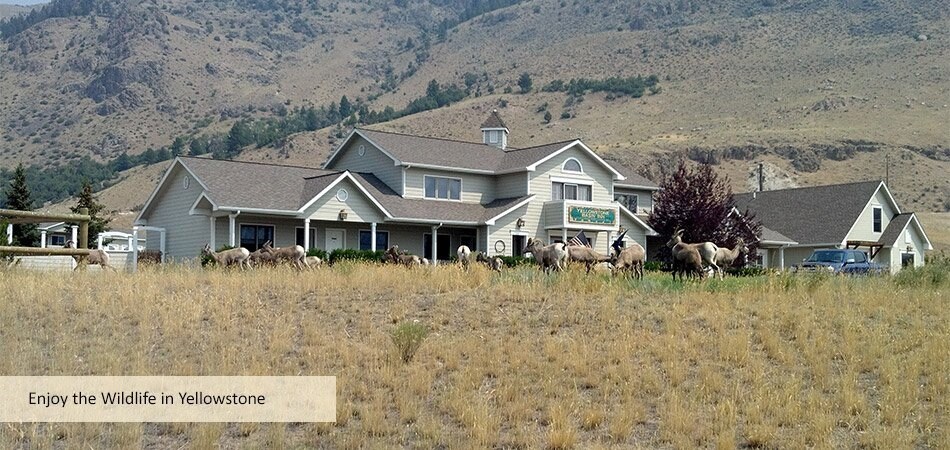 4 Maiden Basin Dr, Gardiner, MT à vendre - Photo de l’immeuble – Image 2 sur 23
