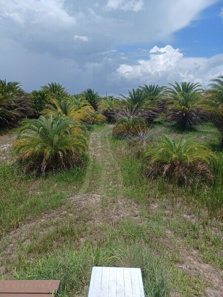 46515 State Road 64 E, Myakka City, FL à vendre - Photo de l’immeuble – Image 2 sur 12