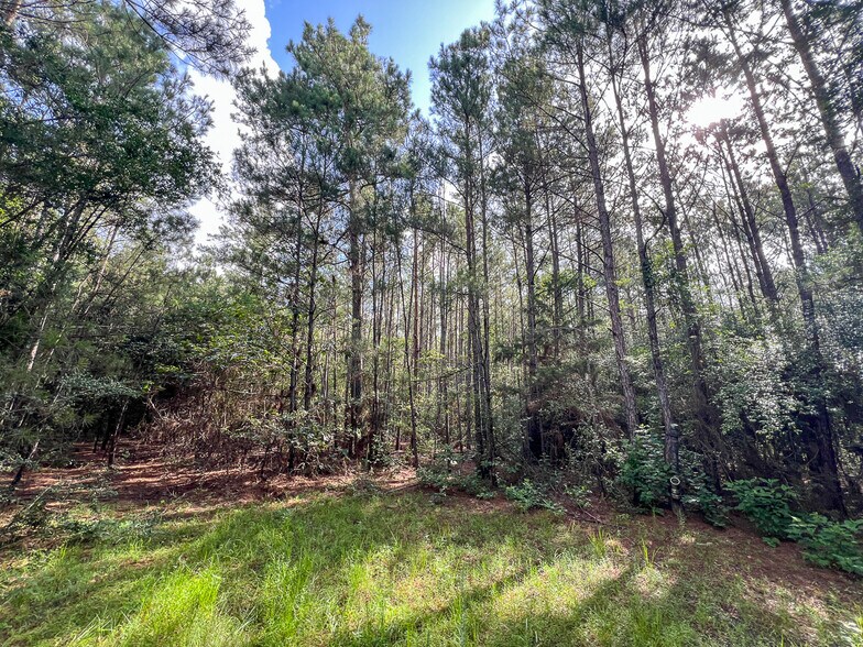00 FM 2793, New Waverly, TX à vendre - Photo de l’immeuble – Image 2 sur 13