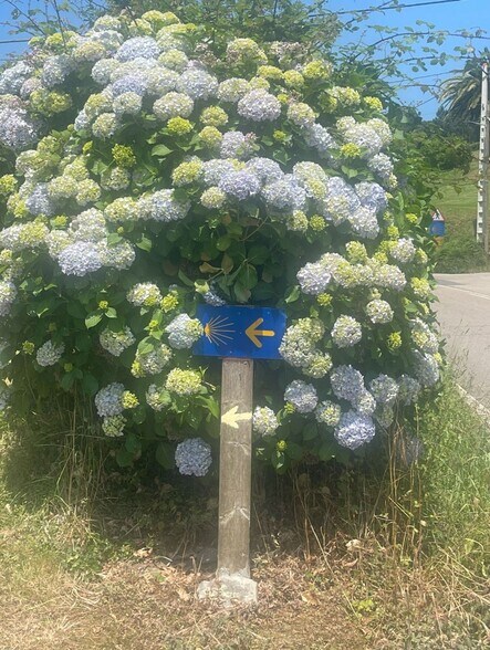 Calle del Soto de Luiña, 23, Cudillero, Asturias à vendre - Photo de l’immeuble – Image 3 sur 3