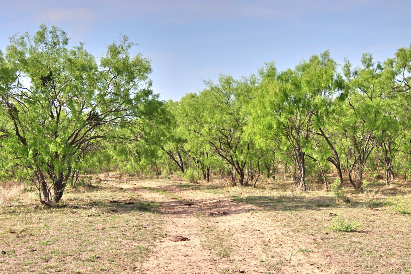 View Photo