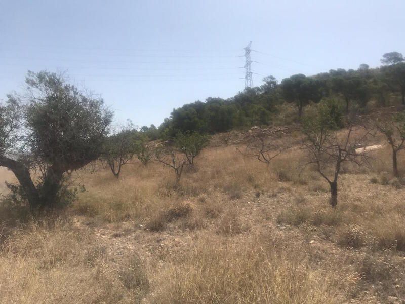 Poste, 165, Abanilla, Murcia à vendre Photo principale– Image 1 sur 12