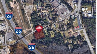 Plus de détails pour 2040 Old Dunbar Rd, West Columbia, SC - Terrain à vendre
