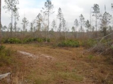 US-441 / I-10, Lake City, FL à vendre - Photo de l’immeuble – Image 3 sur 3