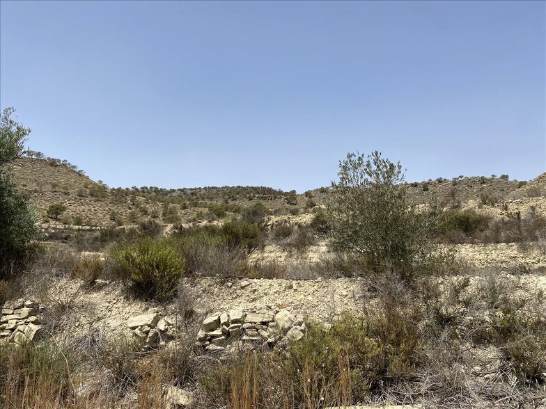 Camino del Algarrobo, 7, Abanilla, Murcia à vendre - Plan de site – Image 3 sur 13