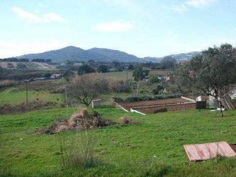 Terrain dans Palafolls, Barcelona à vendre - Photo de l’immeuble – Image 2 sur 2