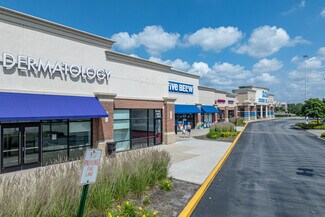 Plus de détails pour 12736 S Route 59, Plainfield, IL - Local commercial à louer