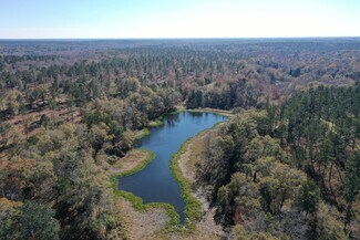 Plus de détails pour 4433 Pat Thomas Pky, Quincy, FL - Terrain à vendre