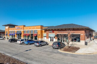 Plus de détails pour 14225 S 95th St, Orland Park, IL - Local commercial à louer