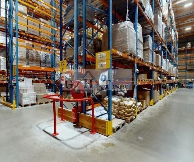 Industriel/Logistique dans Collégien à vendre - Photo intérieure – Image 2 sur 3
