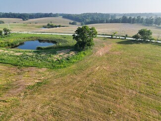 Plus de détails pour 680 Tickridge Rd. (20+/- Acres), Silex, MO - Terrain à vendre