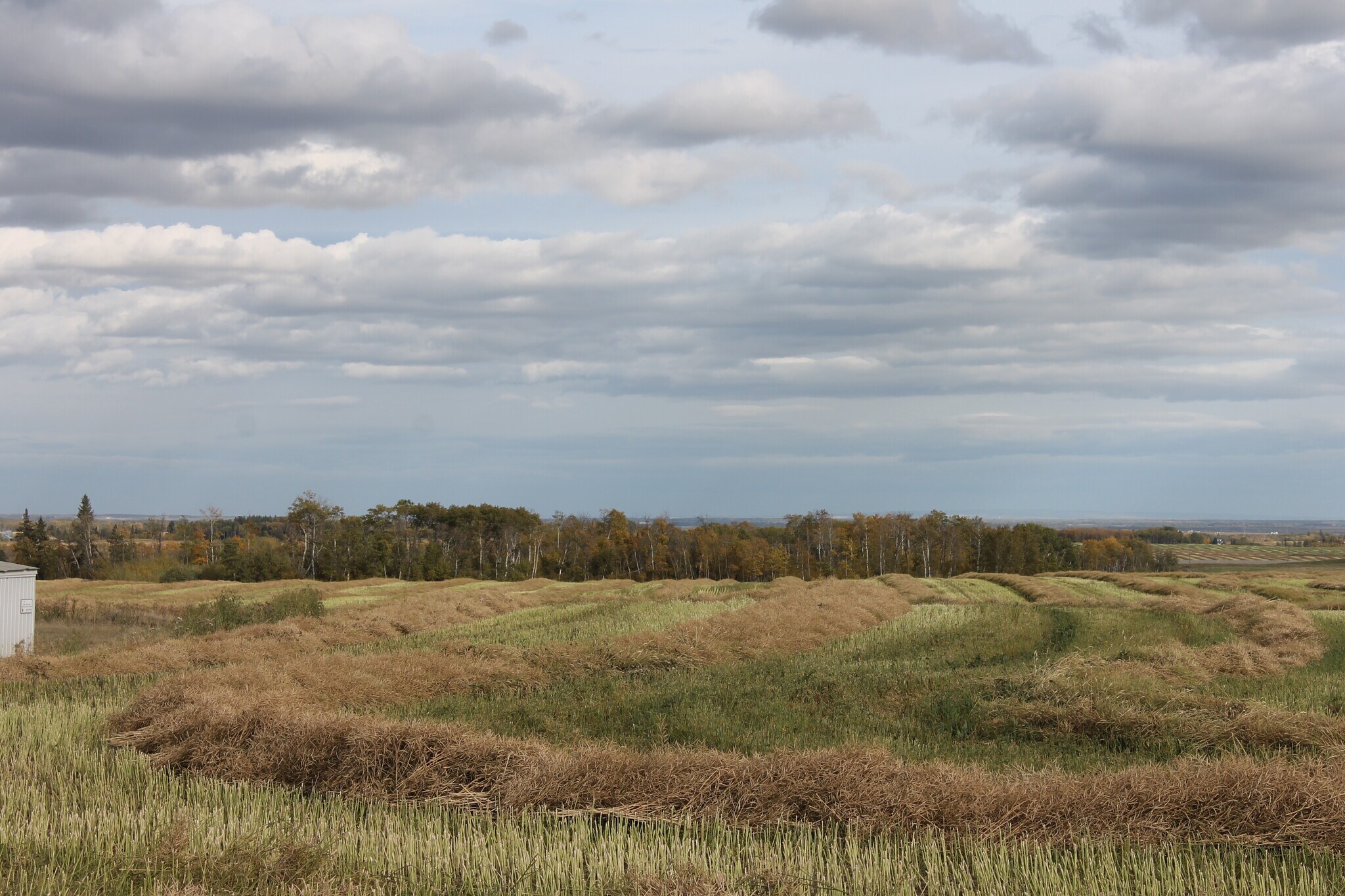 10400 85 Avenue, Sexsmith, AB à vendre Photo de l’immeuble– Image 1 sur 2