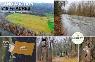 Plus de détails pour Cooks Mill Road, Hyndman, PA - Terrain à vendre