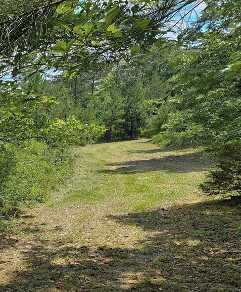 955 Jones Ford Rd, Union, SC à vendre - Photo de l’immeuble – Image 3 sur 6