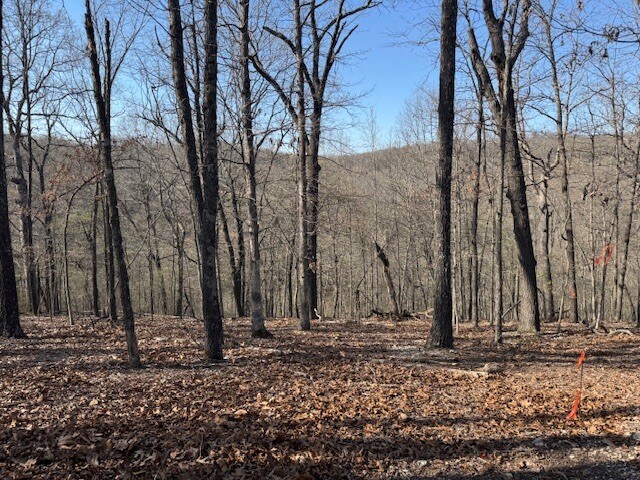 190 Edgewater Dr, Eureka Springs, AR à vendre - Autre – Image 2 sur 56