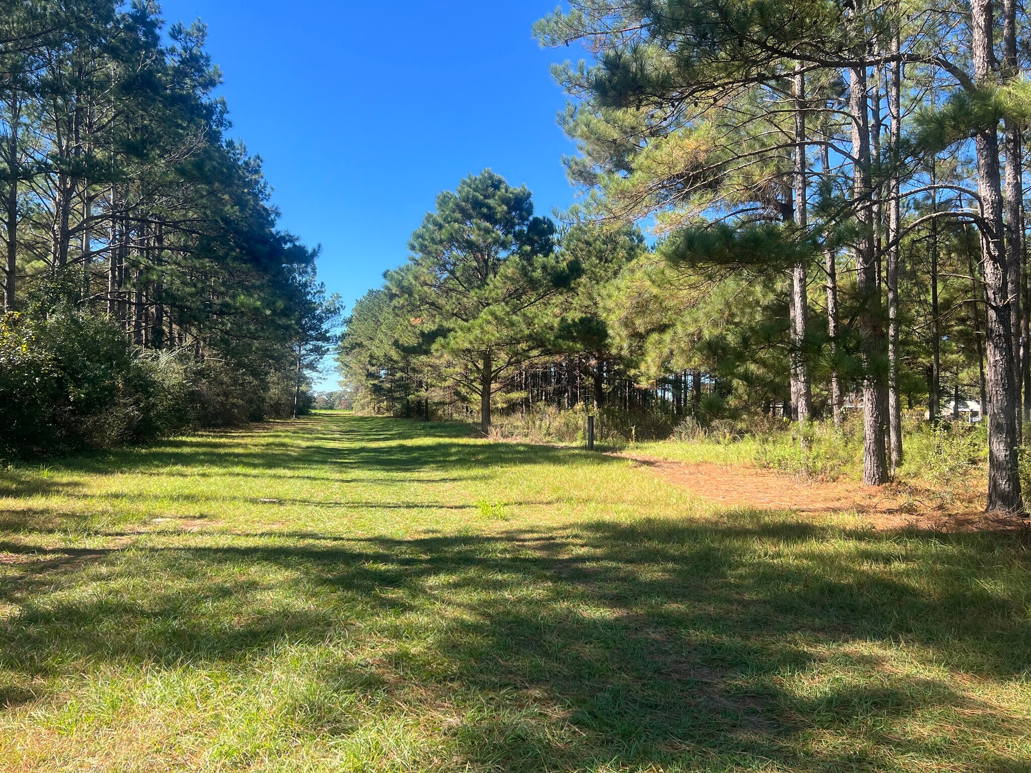 4900 Block 97, Walnut Hill, FL à vendre Photo principale– Image 1 sur 17