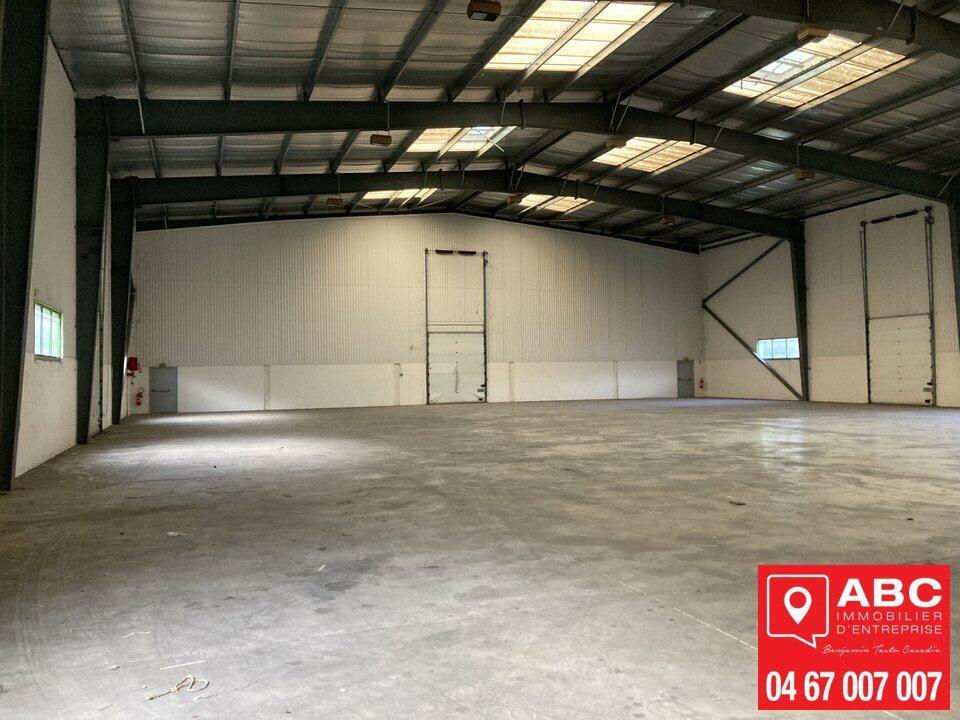 Local d’activités dans Mauguio à louer Photo intérieure– Image 1 sur 5