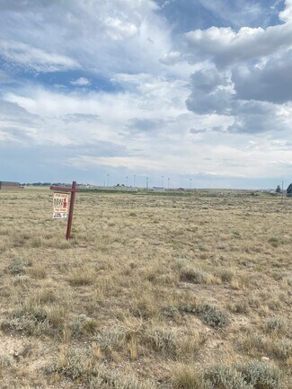 Plus de détails pour 1002 Bridge Ave, Saratoga, WY - Terrain à vendre