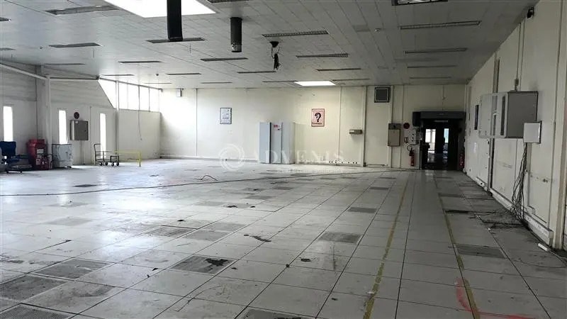 Local d’activités dans Blois à louer - Photo intérieure – Image 3 sur 6