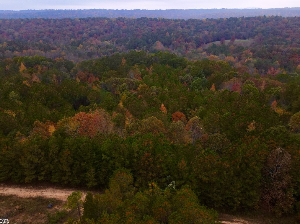 EO Road, Odenville, AL à vendre Aérien– Image 1 sur 29