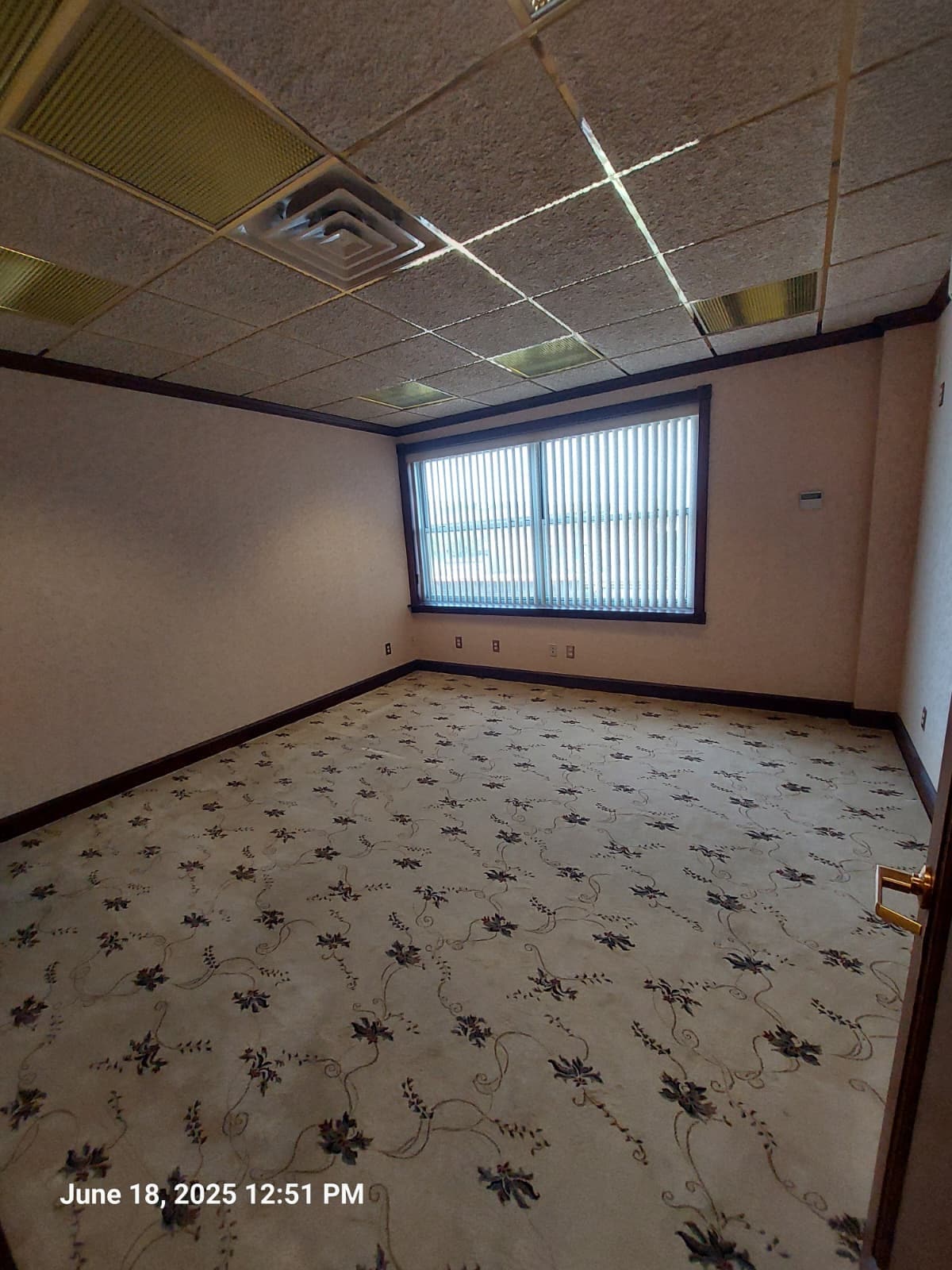 53 N Park Ave, Rockville Centre, NY à louer Photo intérieure– Image 1 sur 7