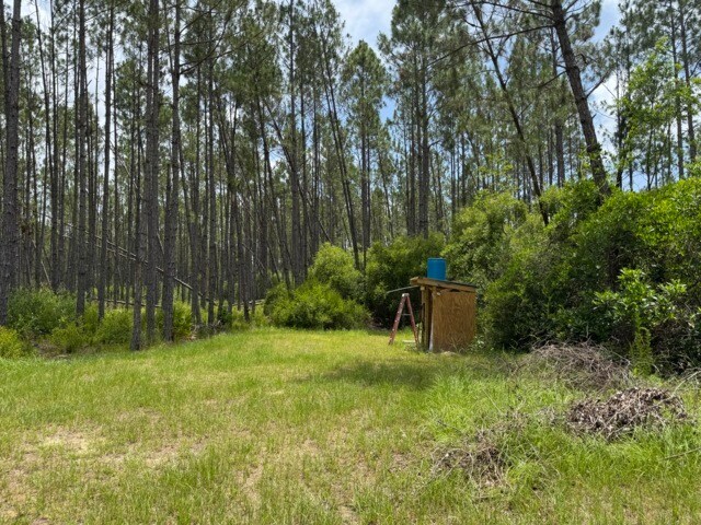 TBD McCray Road, Mayo, FL à vendre - Photo de l’immeuble – Image 3 sur 9
