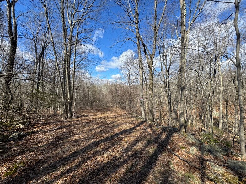 43 Walnut Lane, Weston, CT à vendre - Photo de l’immeuble – Image 3 sur 6