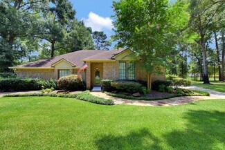 Plus de détails pour 1923 Silver Leaf Dr, Spring, TX - Santé à vendre
