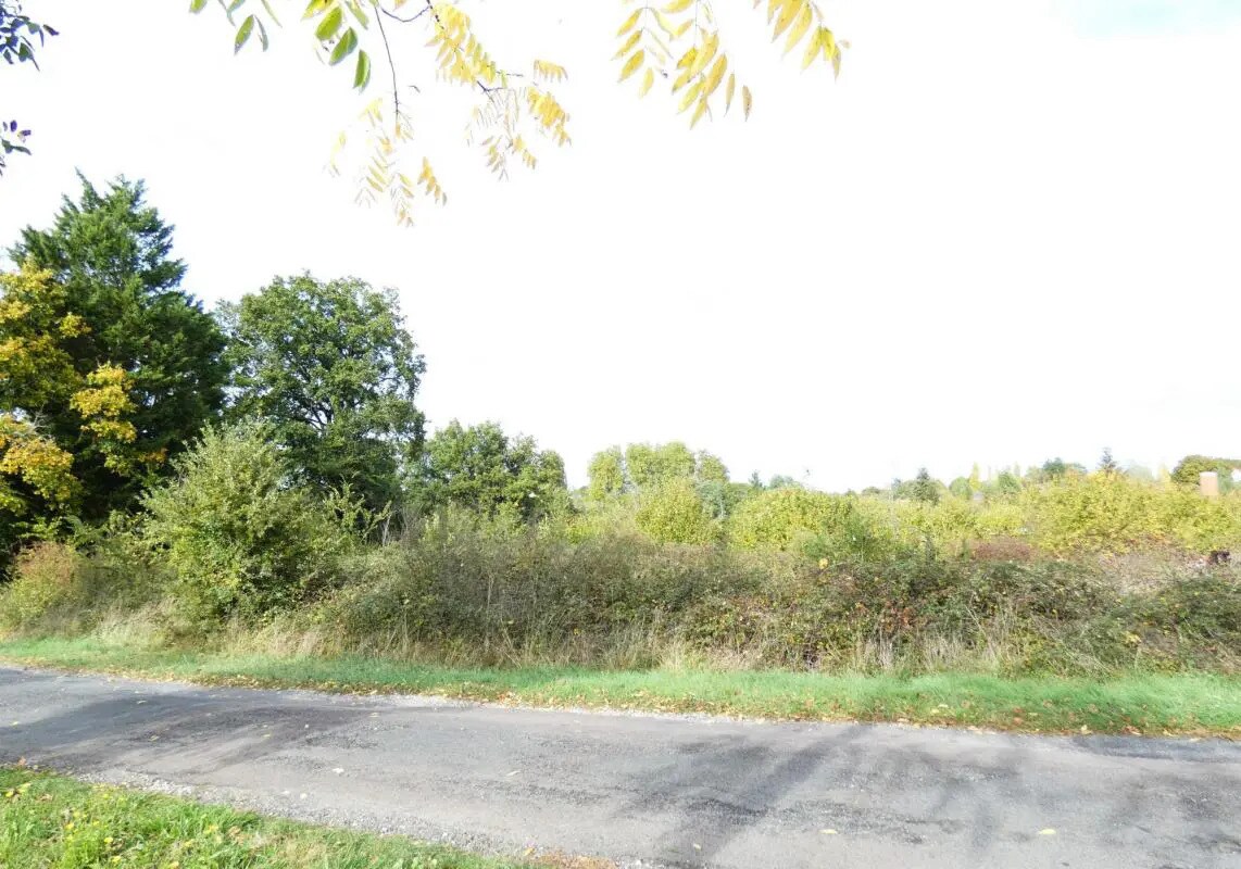 Terrain dans Saint-Laurent-de-Céris à vendre Photo principale– Image 1 sur 1