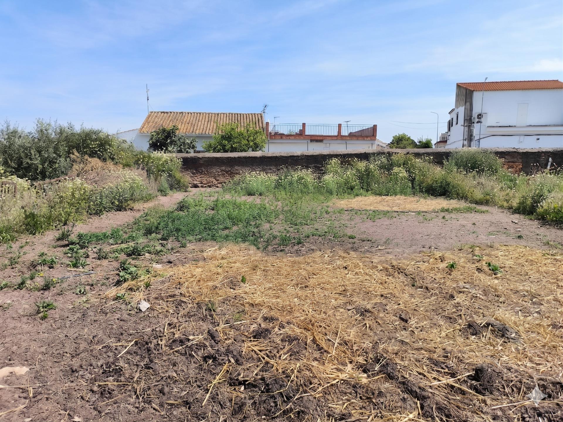 Calle Don Pedro Donaire, 1, Villanueva del Río y Minas, Sevilla à vendre Photo de l’immeuble– Image 1 sur 7