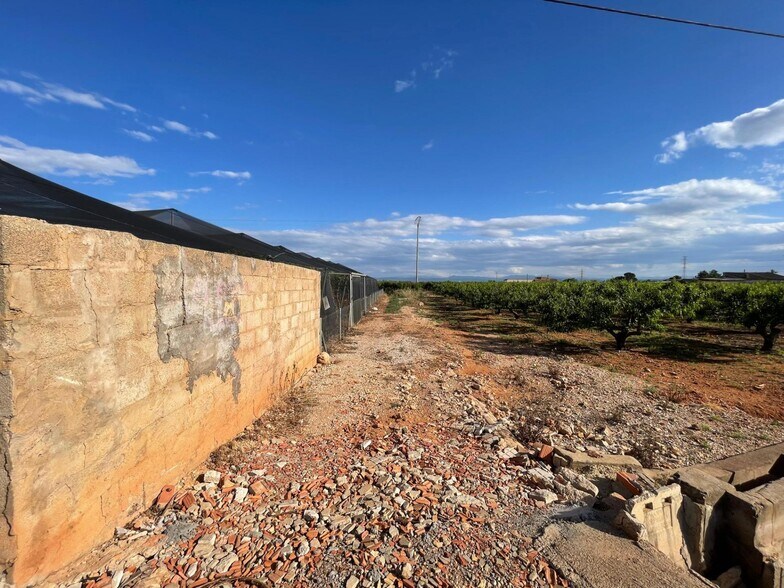 Terrain dans Benimodo, Valencia à vendre - Photo principale – Image 1 sur 5