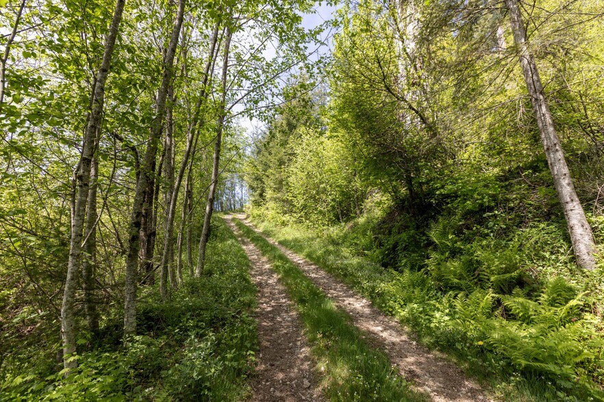 0 Snag Mountain Road, Washougal, WA à vendre - Photo de l’immeuble – Image 2 sur 40
