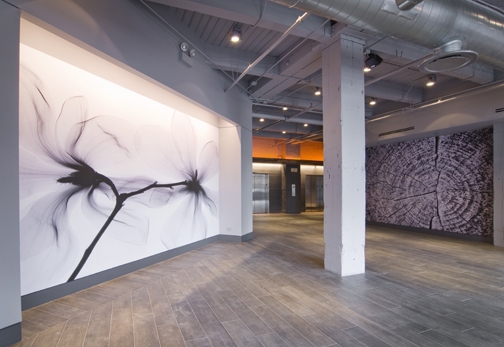 363 W Erie St, Chicago, IL à louer - Photo intérieure – Image 3 sur 12