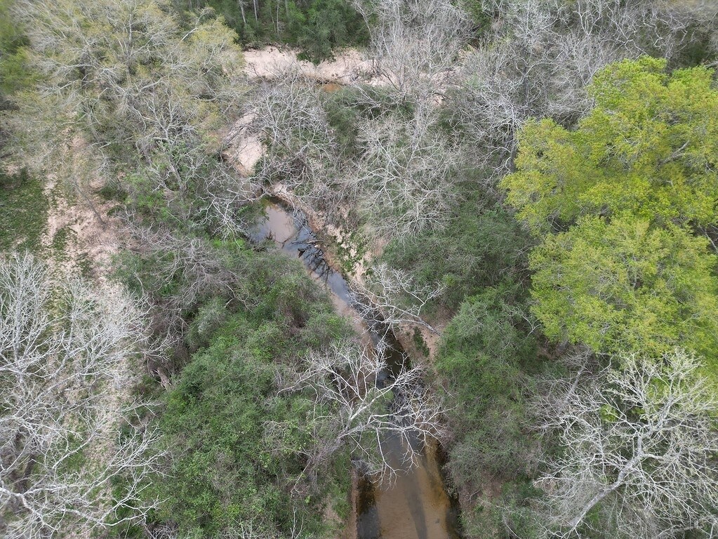 View Photo