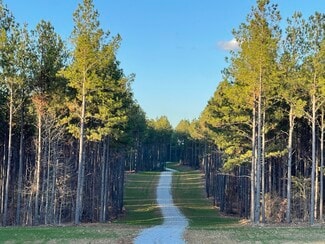 Plus de détails pour 92 Lillian Strong rd, Carlton, GA - Terrain à vendre