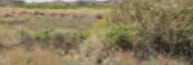 Plus de détails pour Eiseman St, Moapa, NV - Terrain à vendre