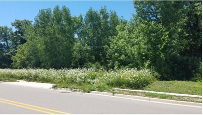 6204 Nesbitt Rd, Fitchburg, WI à vendre - Photo de l’immeuble – Image 2 sur 4