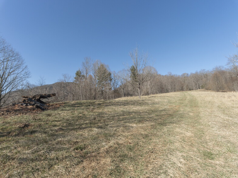 74 Buckeye Cove Rd, Canton, NC à vendre - Photo de l’immeuble – Image 3 sur 12