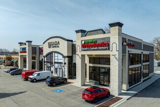 Plus de détails pour 10354 S Harlem Ave, Palos Hills, IL - Bureau/Médical à louer