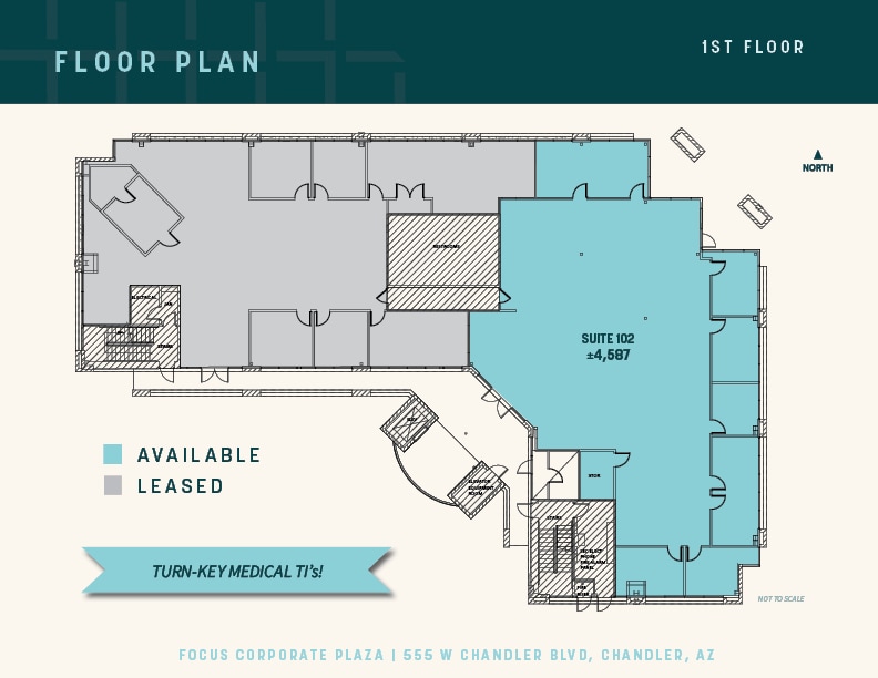 555 W Chandler Blvd, Chandler, AZ à louer Plan d’étage– Image 1 sur 1