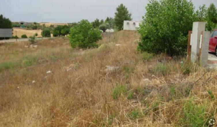 Terrain dans Tórtola de Henares, Guadalajara à vendre - Photo de l’immeuble – Image 3 sur 6
